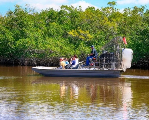 Open Miami An Airboat Tour Cruising Through