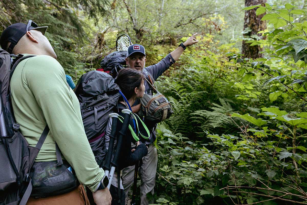 Pacificroverllc Guide Providing Forest Knowledge