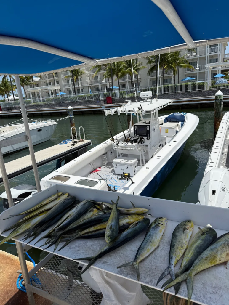 realparadisecharters-fish-boat-dock Realparadisecharters Fish Boat Dock