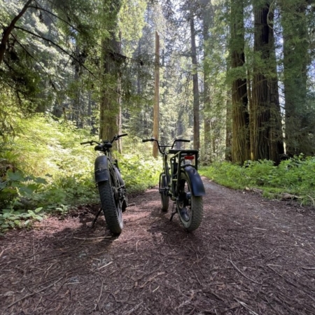 Redwoodadventures Bicycles Ready For A Ride