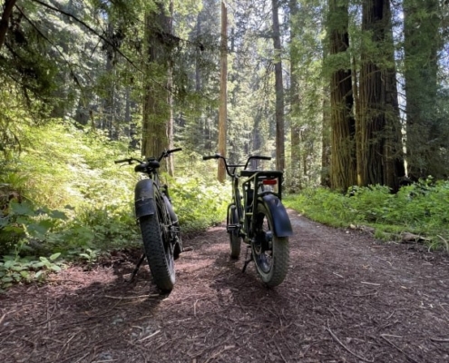 Redwoodadventures Bicycles Ready For A Ride