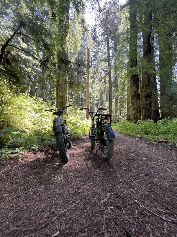 bicycles, ready, for, a, ride, through, the, woods Redwoodadventures Bicycles Ready For A Ride