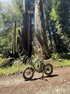 redwoodadventures-bike-in-trail Redwoodadventures Bike In Trail