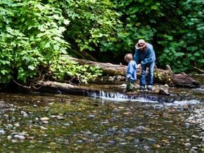 redwoodadventures-child-playing-in-creek Redwoodadventures Child Playing In Creek