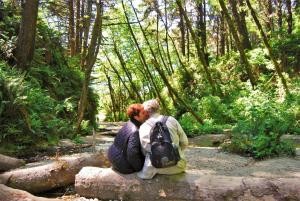 redwoodadventures-couple-enjoying-forest-view Redwoodadventures Couple Enjoying Forest View