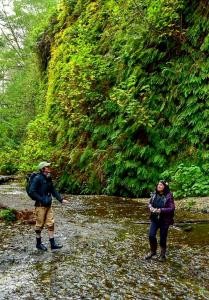 redwoodadventures-hikers-crossing-creek Redwoodadventures Hikers Crossing Creek