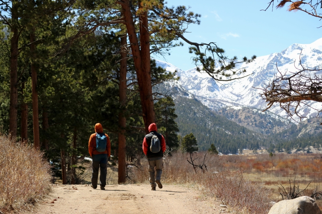 a, flower, blooming, amidst, rugged, terrain Rockyguides Hikers Following Path Towards Snowy Mountains