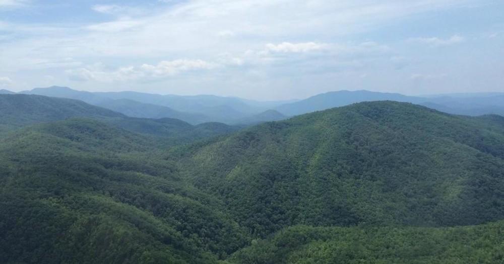 scenichelicoptertours-view-of-forest Scenichelicoptertours View Of Forest