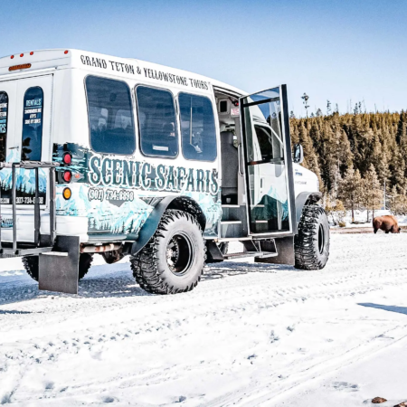 Scenicsafariswinter Snowcoach Out By Bison