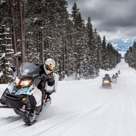 Scenicsafariswinter Snowmobiles Forest Yellowstone