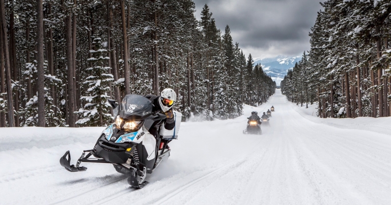 Yellowstone Snowmobile Tour • Grand Canyon PRIVATE — Yellowstone Scenicsafariswinter Snowmobiles Forest Yellowstone