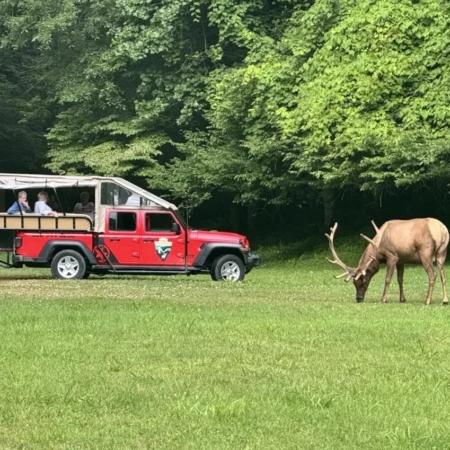 Scenictoursandadventures A Jeep Parked Near Grazing