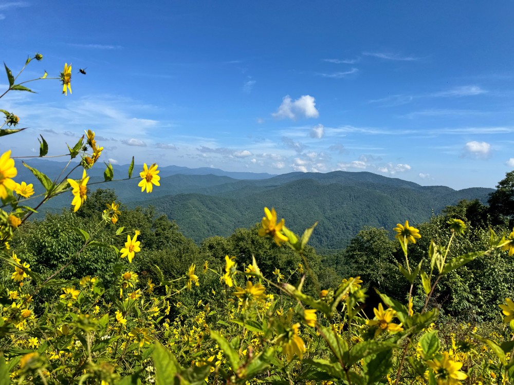 scenictoursandadventures-tour-sites Scenictoursandadventures Tour Sites