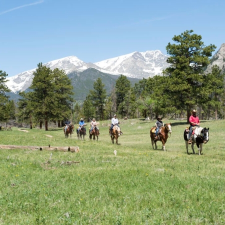 Skhorses A Group Horseback Riding In