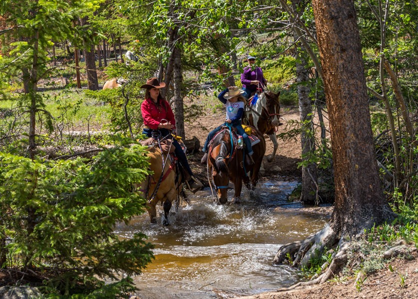 riders, crossing, a, stream, on, horseback Skhorses Riders Crossing A Stream On