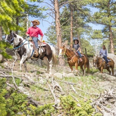 Skhorses Riders Exploring A Forest Trail