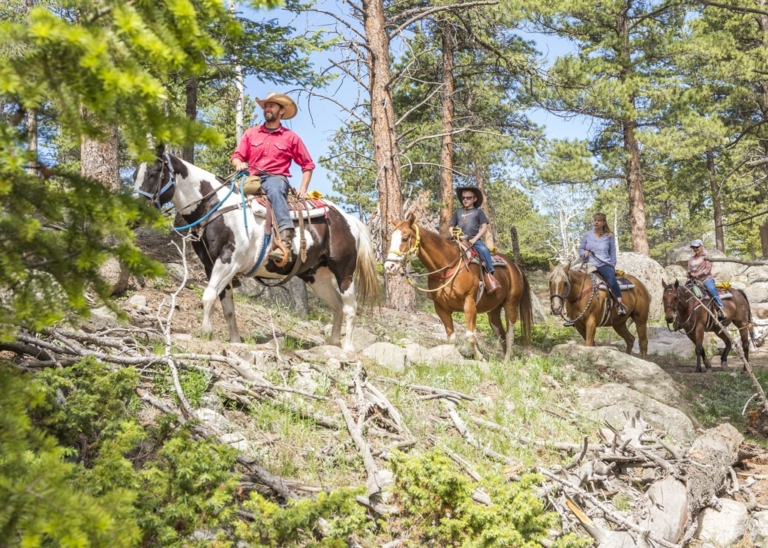 riders, exploring, a, forest, trail, on, horseback Skhorses Riders Exploring A Forest Trail