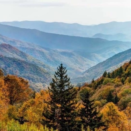 Smokymountainguides Forest Scene With Fall Colors