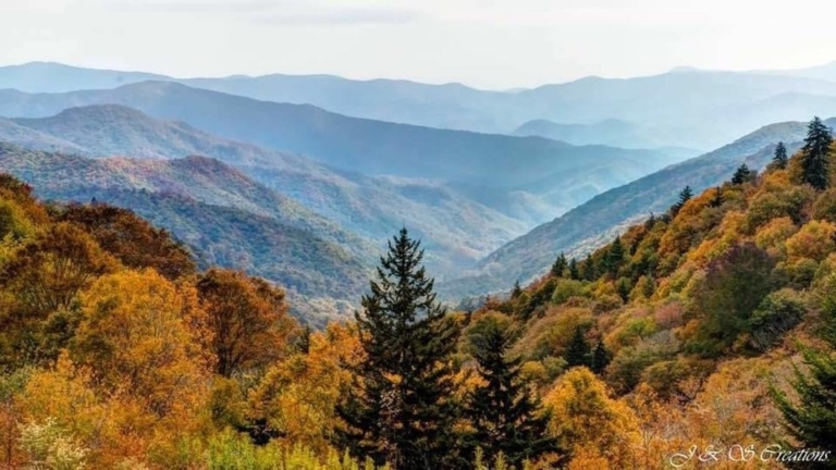 smokymountainguides-forest-scene-with-fall-colors Smokymountainguides Forest Scene With Fall Colors