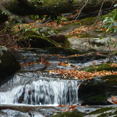 Smokymountainguides Mountain Stream Waterfall