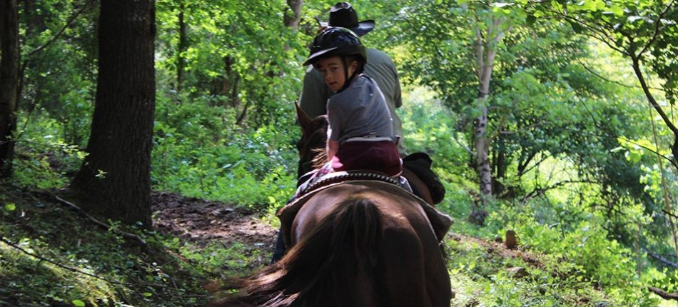 a, young, rider, and, guide, navigating, through, the, woods Smokymountaintrailrides A Young Rider And Guide