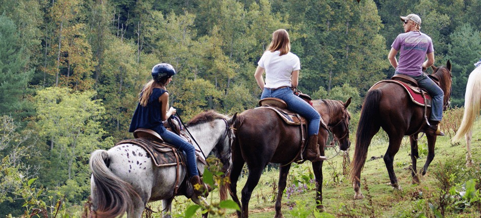 riders, exploring, nature, from, the, back, of, their, horses Smokymountaintrailrides Riders Exploring Nature From The