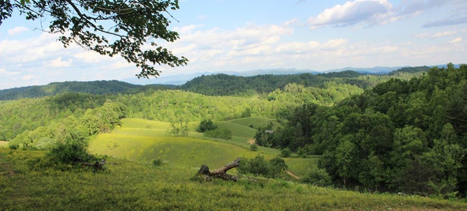 smokymountaintrailrides-valley-view Smokymountaintrailrides Valley View