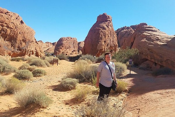 hiker, enjoying, the, desert, landscape Topcanyontours Hiker Enjoying The Desert Landscape