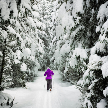 Tourglacier Cross Country Skier Snowy Forest