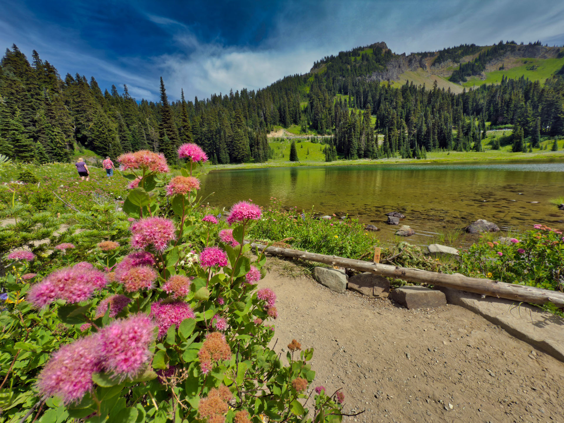 Mt. Rainier Tour — Mount Rainier Toursnorthwest Pink Flowers Lake Mountain Forest