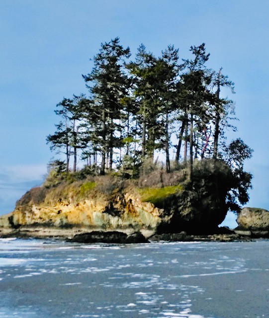 an, isolated, island, with, trees, along, the Toursofseattle An Isolated Island With Trees