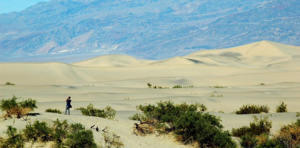 vegassightseeing-a-person-meanders-through-the Vegassightseeing A Person Meanders Through The