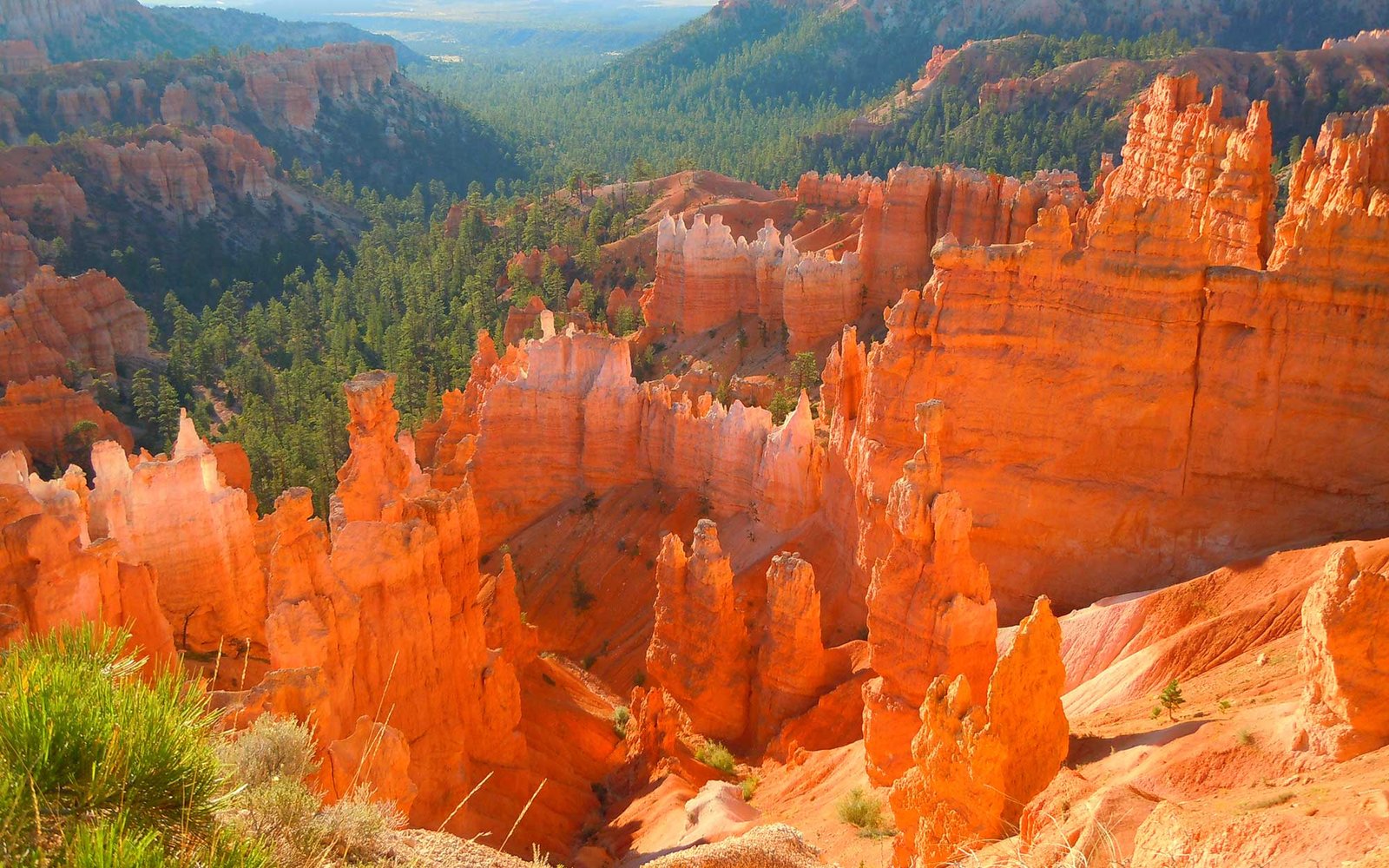 Bryce & Zion Tour with Lunch — Bryce Canyon; Zion; Westpearltours Bryce Canyon Orange Spires