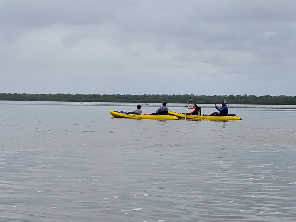 kayaking, under, the, bright Wildlimeadventures Kayaking Under The Bright Scaled