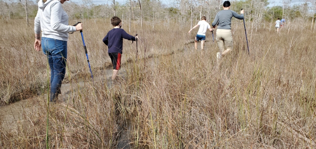 spotting, wildlife, in, a, natural Wildlimeadventures Spotting Wildlife In A Natural