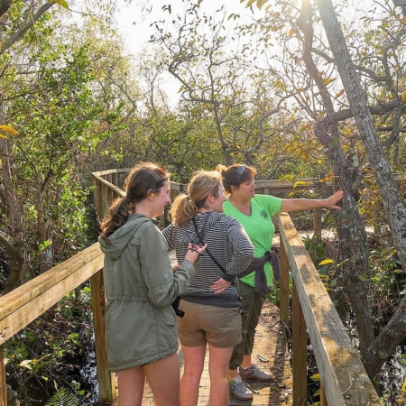 Wildlimeadventures Visitors Exploring A Wooden Walkway