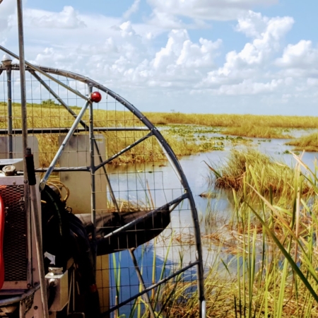 Wildlimeadventures Airboat Red Seat Everglades Grassy Wetlands