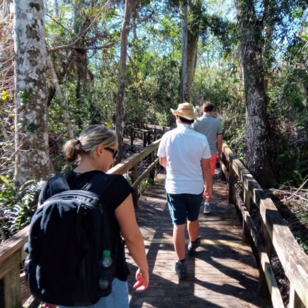 Wildlimeadventures Boardwalk Hikers Everglades Nature Trail