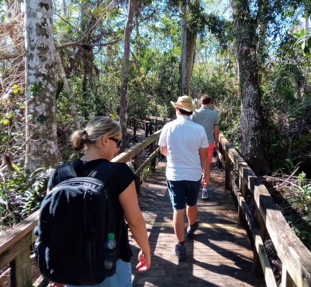 Wild Lime Adventures™ Full Day Tour: Wet Hike & Everglades Adventure Led by an Experienced Naturalist — Everglades Wildlimeadventures Boardwalk Hikers Everglades Nature Trail