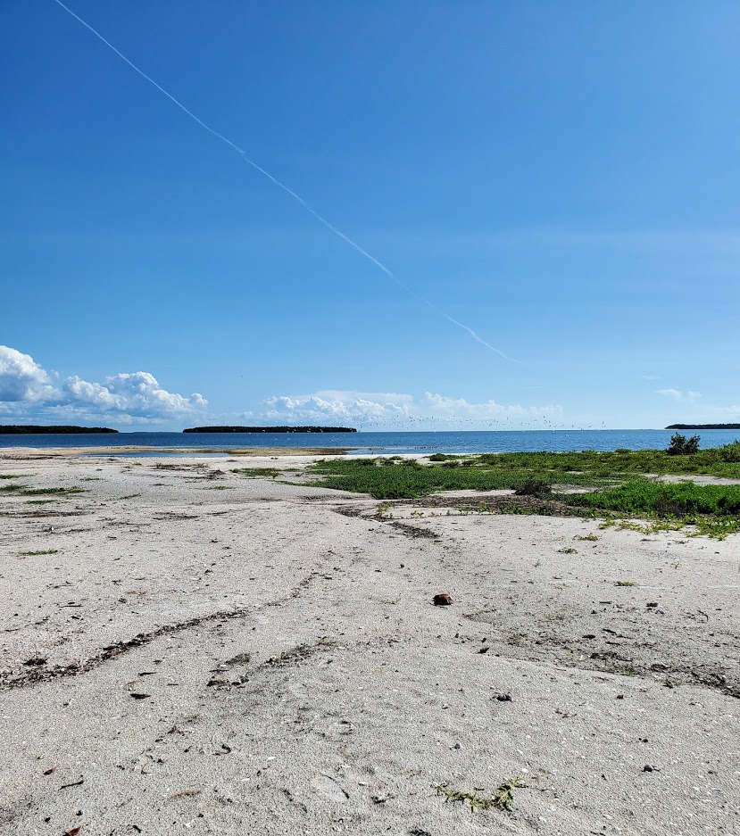 Wild Lime Adventures™ Full Day Tour: Wet Hike & Everglades Adventure Led by an Experienced Naturalist — Everglades Wildlimeadventures Tourphoto Everglades Hiking Florida