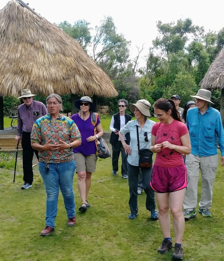 Wild Lime Adventures™ Full Day Tour: Wet Hike & Everglades Adventure Led by an Experienced Naturalist — Everglades Wildlimeadventures Tourphoto Everglades Hiking Florida