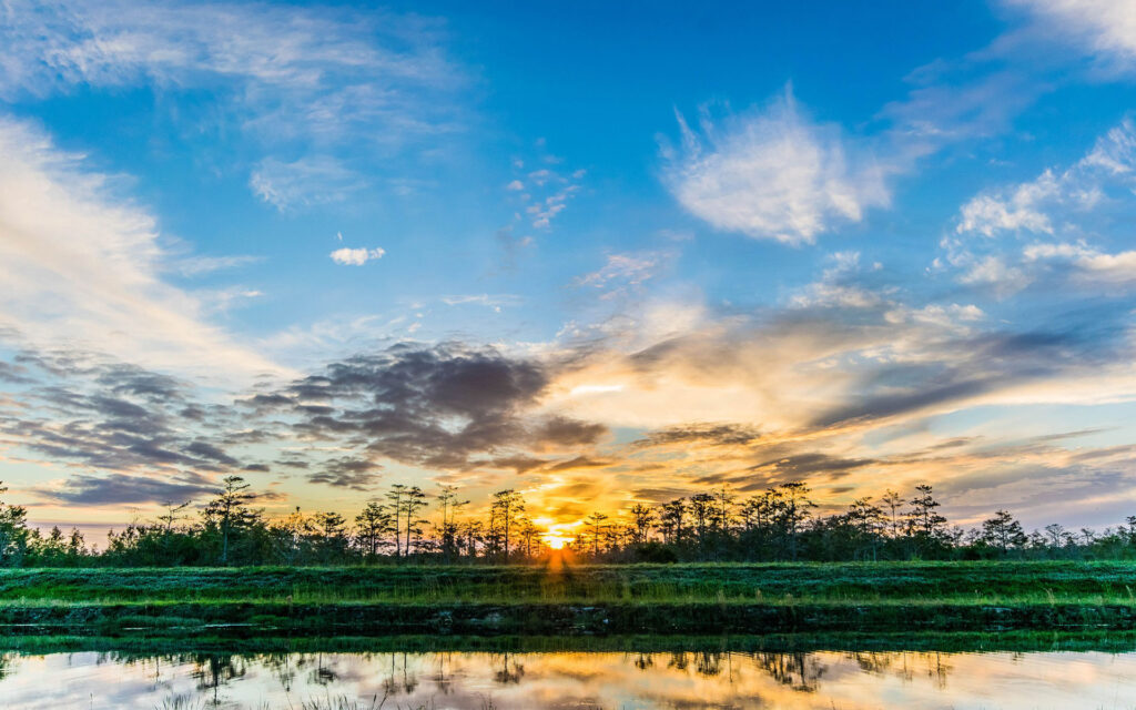 Tour-related image Wildlimeadventures Wildlimeadventure Header  Everglades Boat Tour Florida