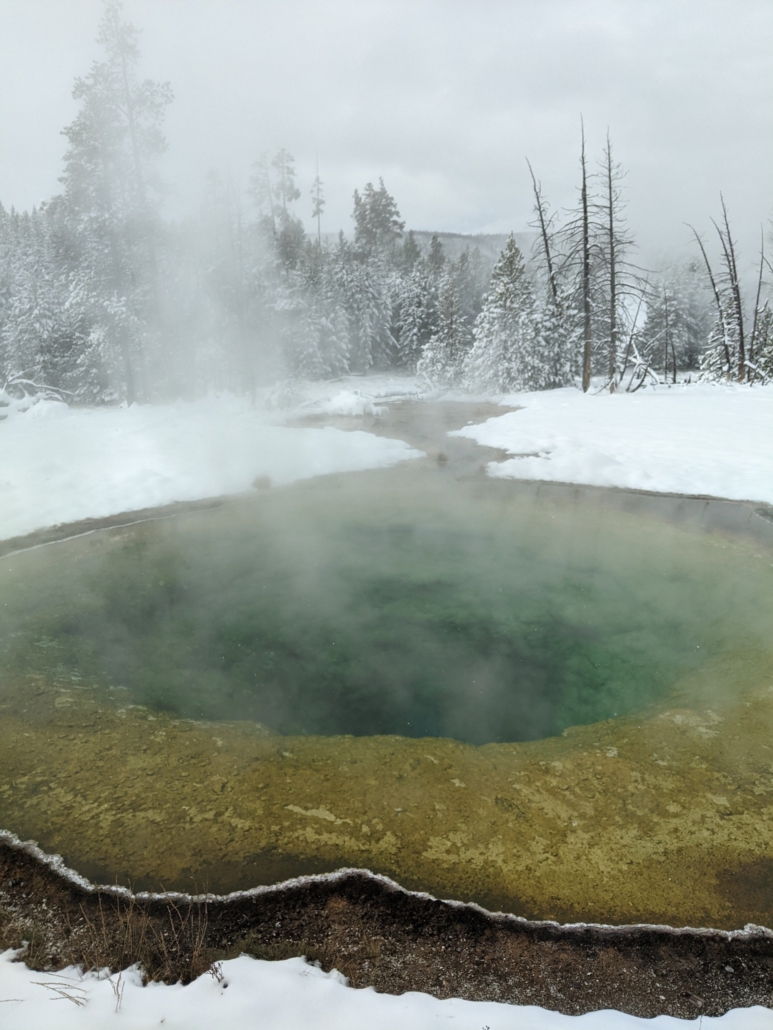 Best of Yellowstone Tour — Yellowstone Yellowstoneexposures Steaming Hot Spring Snowy Forest