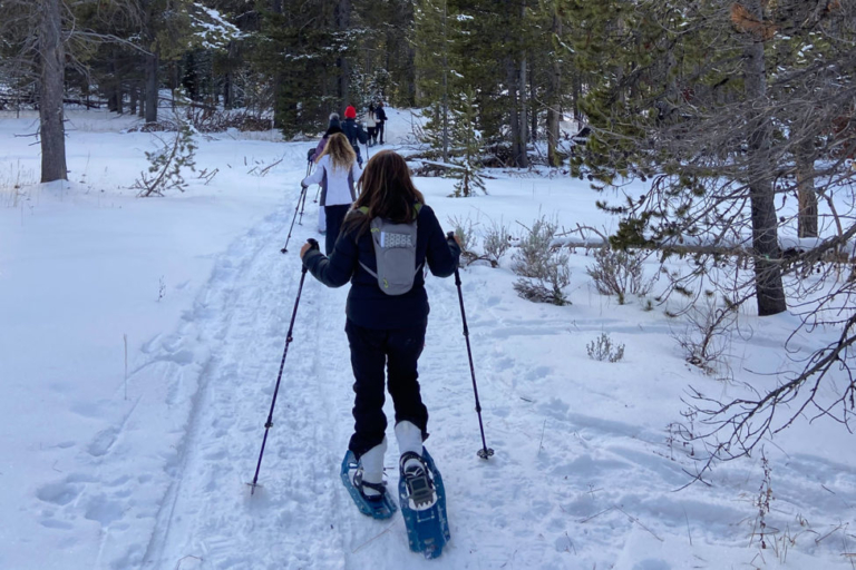 Big Sky Snowshoe Safari - Half Day - Private Tour — Yellowstone Yellowstonesafari Snowshoeing Trail Yellowstone Winter