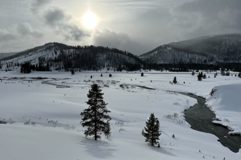 Big Sky Snowshoe Safari - Half Day - Private Tour — Yellowstone Yellowstonesafari Snowy Landscape Yellowstone River Sunrise