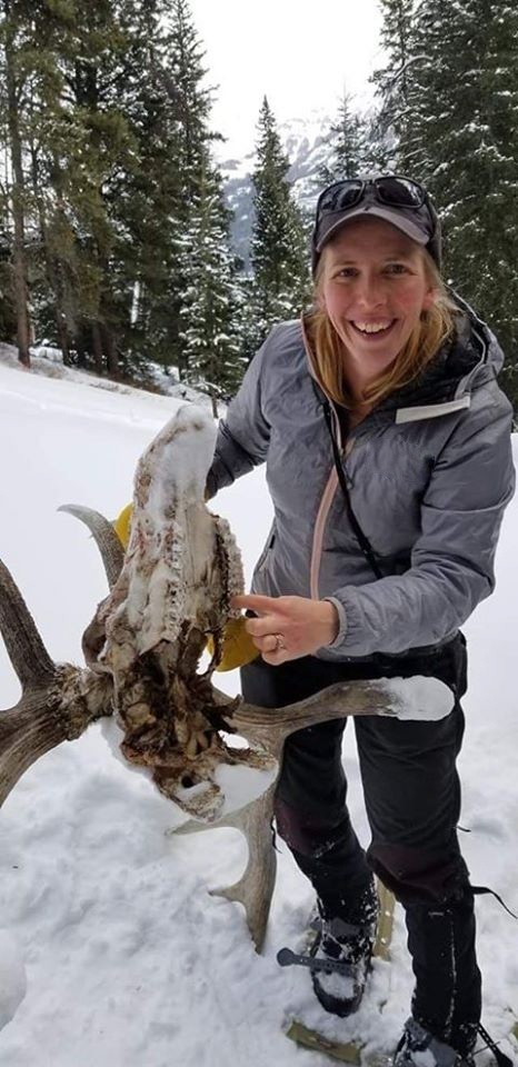a, woman, poses, with, skull, in, the, snow Yellowstonewildlifeprofiles A Woman Poses With Skull