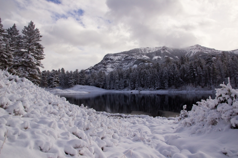 scenic, winter, landscape Yellowstonewildlifeprofiles Scenic Winter Landscape