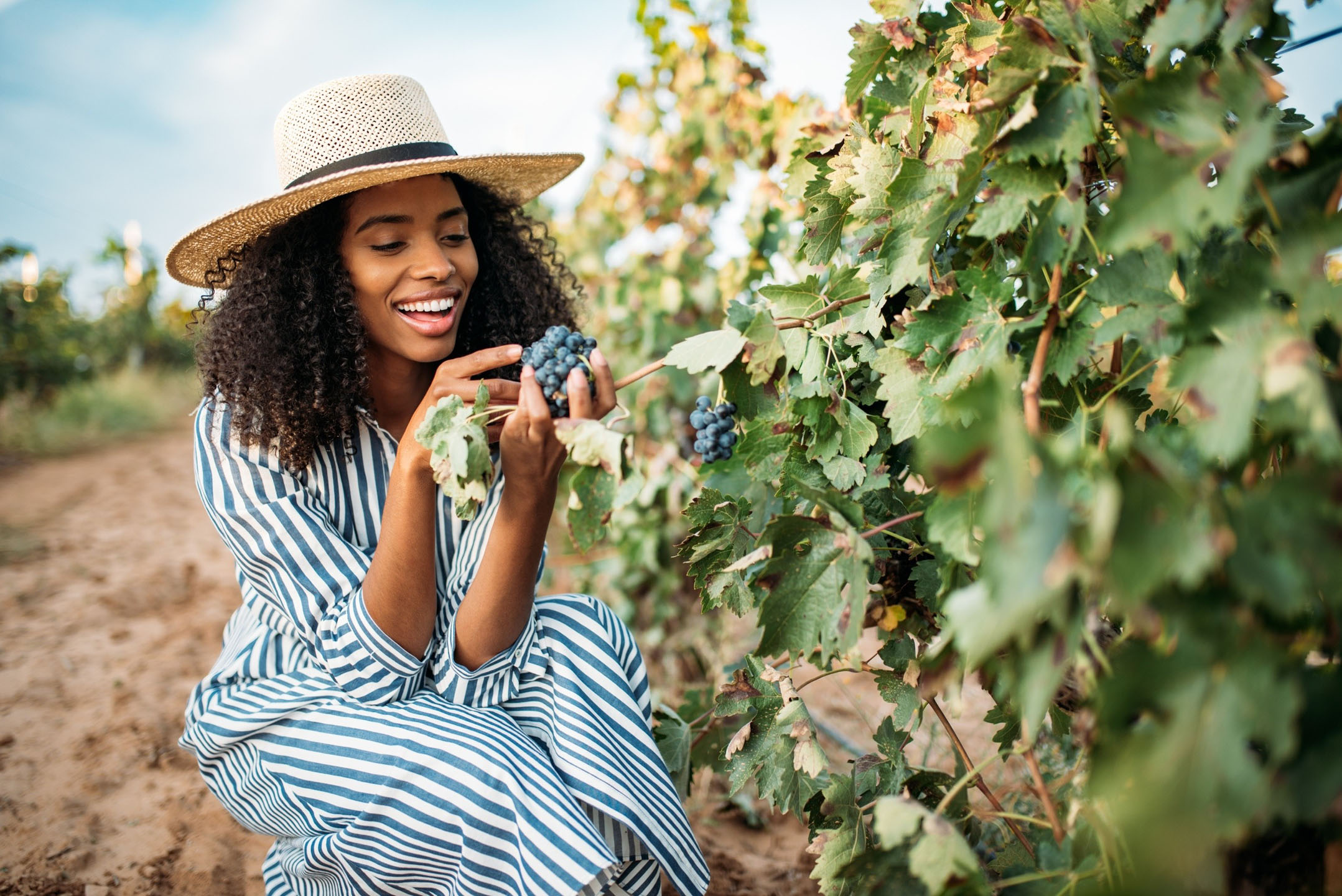 double, the, joy, in, vineyard Yosemite Tours Double The Joy In Vineyard