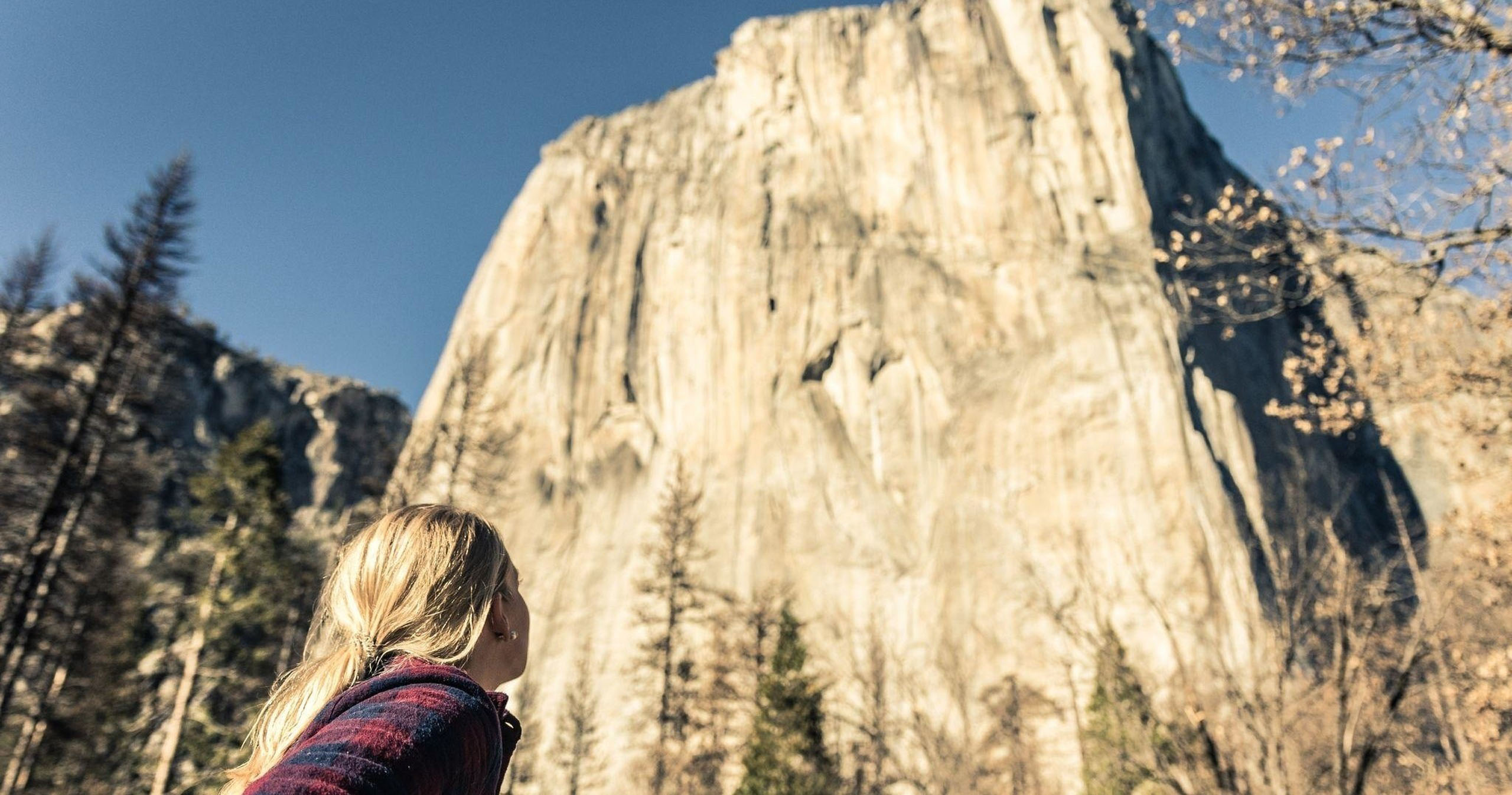 gazing, at, the, towering, cliff Yosemite Tours Gazing At The Towering Cliff