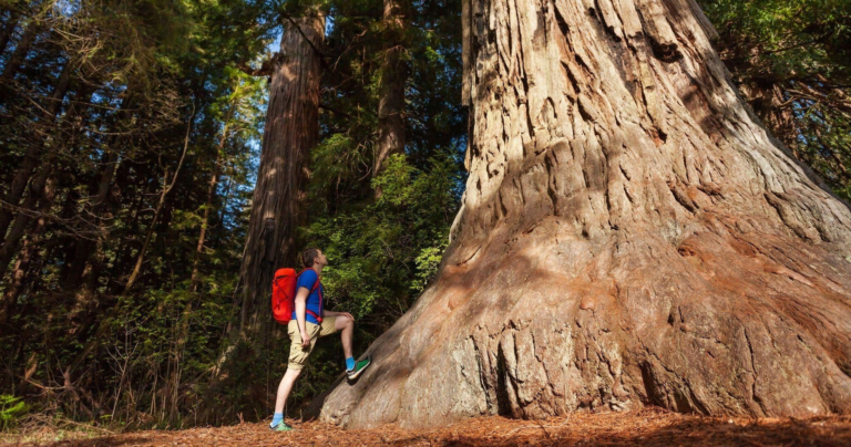 standing, before, the, giant, rock Yosemite Tours Standing Before The Giant Rock